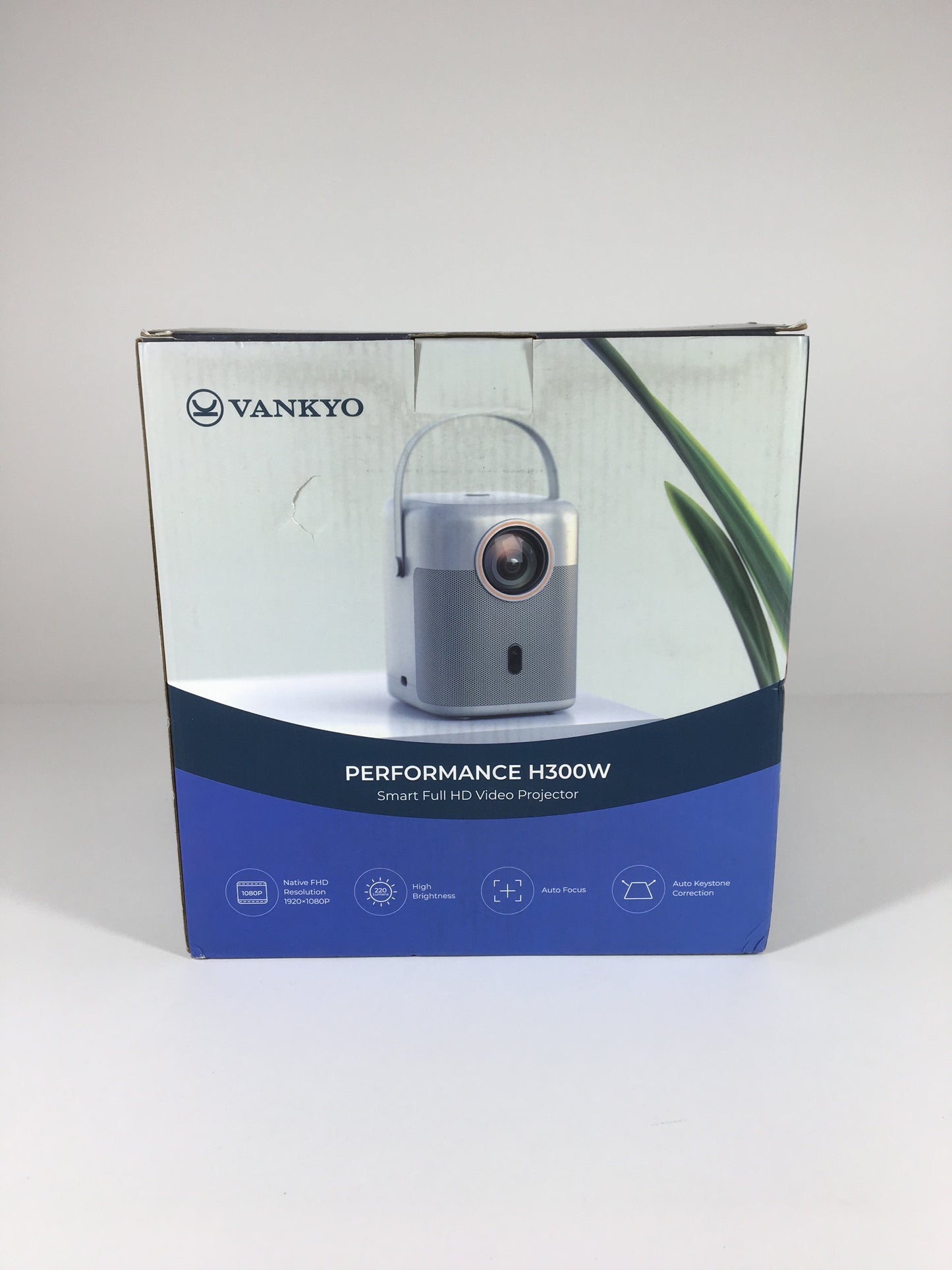 Vankyo Performance H300W